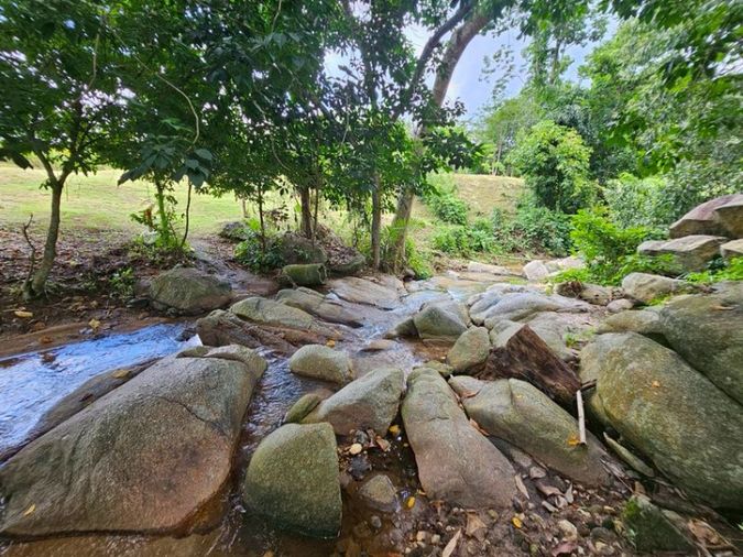 ที่ดินติดลำธาร บรรยากาศธรรมชาติสุดๆ ขนาด 150 ตารางวา 1 ล้าน #ที่นี้บ้านค่าย จ.ระยอง