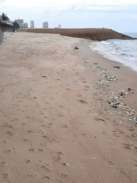 รูป ขายบ้านพักตากอากาศ วิวทะเลชะอำ ติดradisson resort ชะอำ - รูปที่ 15/18