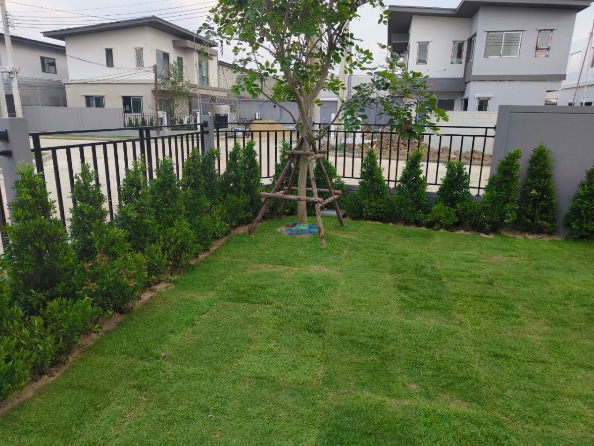 รูป ปล่อยเช่า บ้านเดี่ยว Venue ID ปิ่นเกล้า-ศาลายา  - รูปที่ 71/74