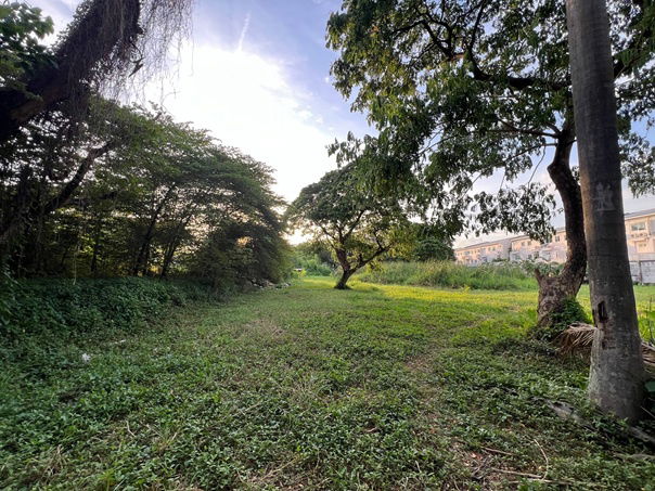 รูป ขายด่วน ที่ดินแปลงสวย คู่ขนานมอเตอร์เวย์ กรุงเทพกรีฑา - รูปที่ 1/5