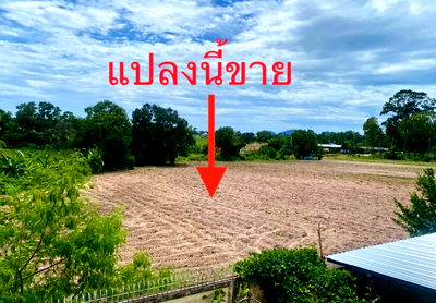 Land for sale Si Racha Chonburi : Urgent Sale! Filled land located near Bang Phra Reservoir, close to the Bangkok–Pattaya Motorway (M7). Land area: 9 rai, 1 ngan, 69.7 square wah.