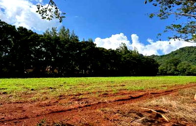 ขายที่ดิน : ขาย ที่ดินเปล่า เขาใหญ่ ถ.ธนะรัชต์ เหมาะสร้าง รีสอร์ท โรงแรม คอนโด สถานที่ท่องเที่ยว  32-1-96 ไร่