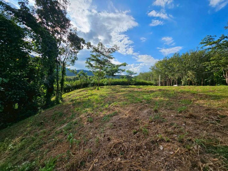 รูป ที่ดินติดลำธาร บรรยากาศธรรมชาติสุดๆ ขนาด 150 ตารางวา 1 ล้าน #ที่นี้บ้านค่าย จ.ระยอง - รูปที่ 9/19