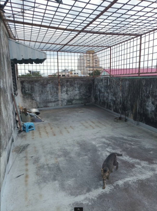 รูป ราคาพิเศษ! ขายตึกแถว 3 ชั้น 52 ตารางวา ลาดพร้าว 87 หัวมุม 3 คูหา ทำเลดี ค้าขายง่าย - รูปที่ 14/19