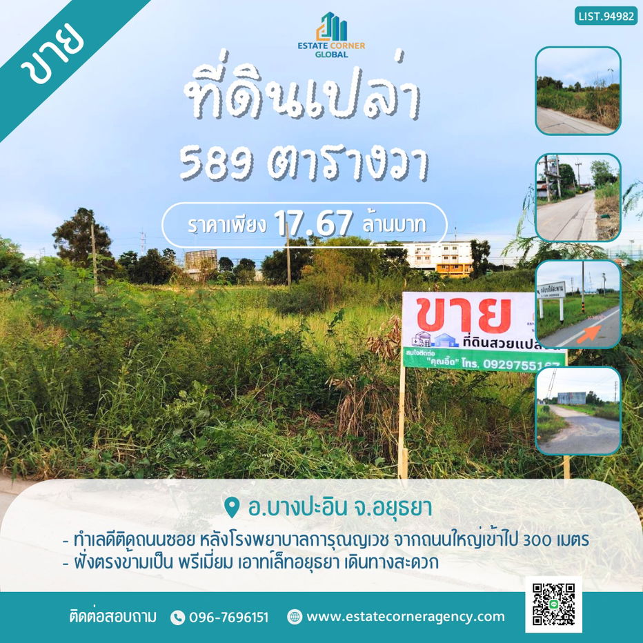 รูป ขายที่ดิน บางปะอิน อยุธยา 589 ตรว. - รูปที่ 1/1