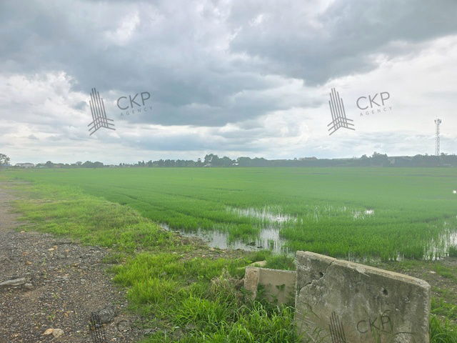 รูป ที่ดินเปล่า 11 ไร่, 2 งาน, 6 ตร.ว. ติดถนนปทุมธานี-บางเลน หน้ากว้าง 24 เมตร ลึก 770 เมตร เป็นพื้นที่สีชมพู เหมาะเพื่อการอยู่อาศัย พาณิชยกรรม เกษตรกรรม - รูปที่ 10/10