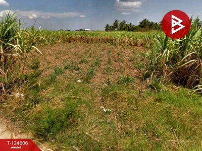 ที่ดิน พานทอง ชลบุรี : ขาย ที่ดิน พานทอง ชลบุรี เนื้อที่  2 ไร่ 2 ตารางวา