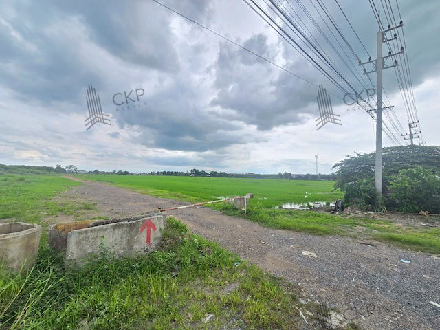 รูป ที่ดินเปล่า 11 ไร่, 2 งาน, 6 ตร.ว. ติดถนนปทุมธานี-บางเลน หน้ากว้าง 24 เมตร ลึก 770 เมตร เป็นพื้นที่สีชมพู เหมาะเพื่อการอยู่อาศัย พาณิชยกรรม เกษตรกรรม - รูปที่ 8/10