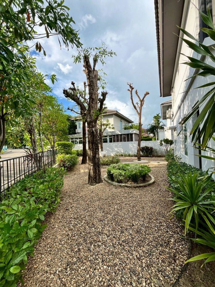 picture  Two storey house for rent with 3 bedrooms,3 toilets and 1 kitchen.  - 27/32