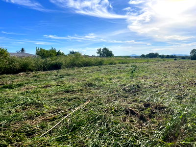 ที่ดิน ระยอง : ขายที่ดิน 25 ไร่    เขตนิคม WHA 36  ระยอง