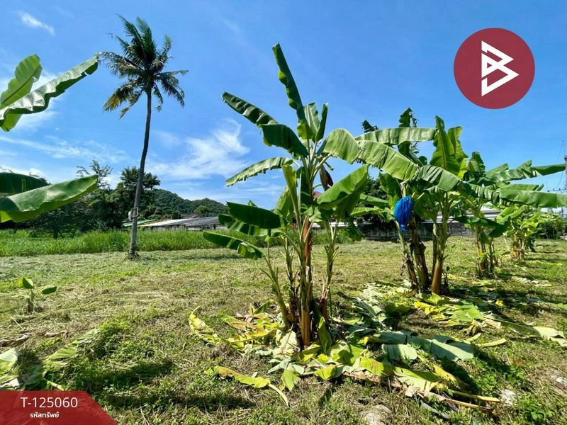 รูป ขาย ที่ดิน  บางพระ ชลบุรี เนื้อที่  8 ไร่ 80.7 ตารางวา  - รูปที่ 7/9