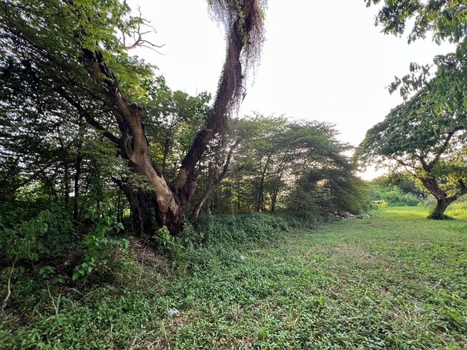 Land for sale, 2000 sq wah, Suan Luang