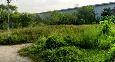 Land for rent Summit Electronic Components  : FOR RENT  LAND PROPERTY  20000 BAHT per MONTH