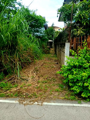 ขายที่ดิน : ขายที่ดินตำบลแม่เหียะติดถนนคอนกรีตพร้อมโอน