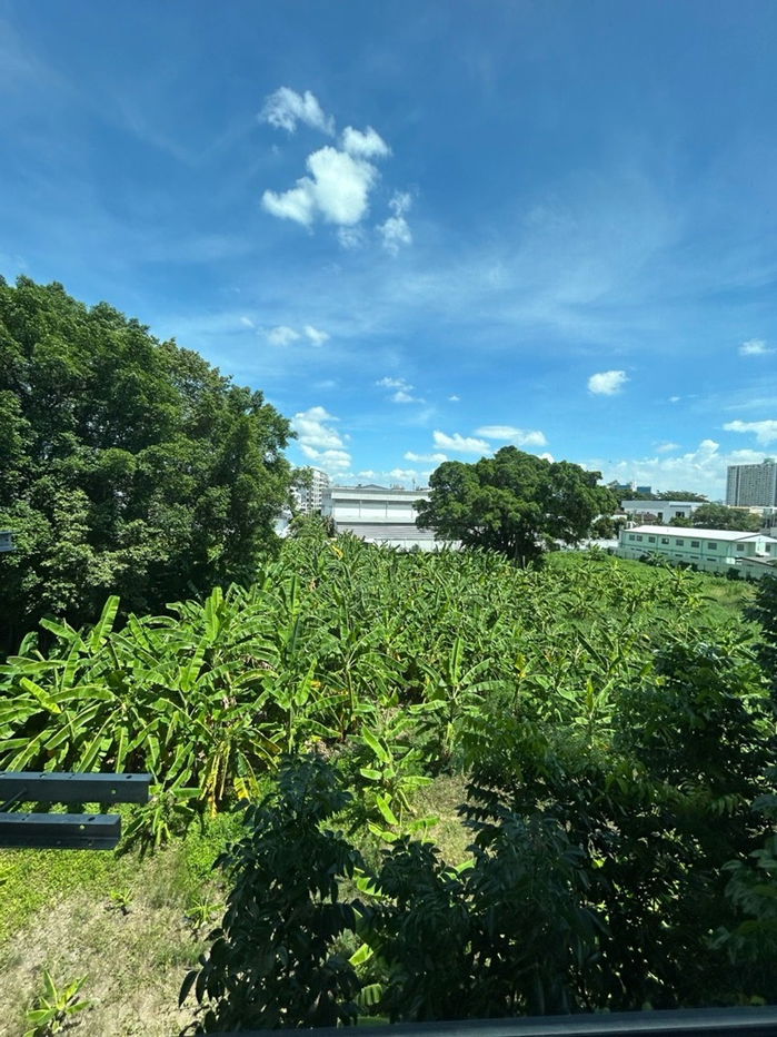 รูป 🏢 ให้เช่าคอนโด : Origin Play Sri Udom Station (ออริจิ้น เพลย์ ศรีอุดมสุข สเตชั่น)   รหัสทรัพย์ | 📌LNP-C10246 - รูปที่ 2/9