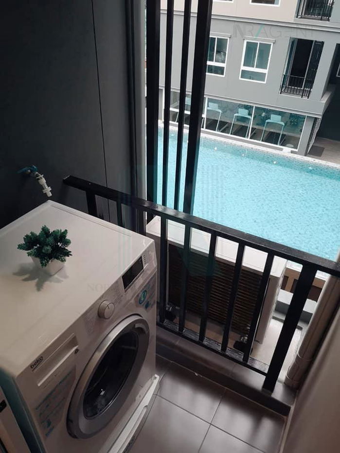 picture For Rent Condo REGENT HOME SUKHUMVIT 97/1 Building E, Floor 3,1 bed room, Room size 28.00 sqm - 3/8