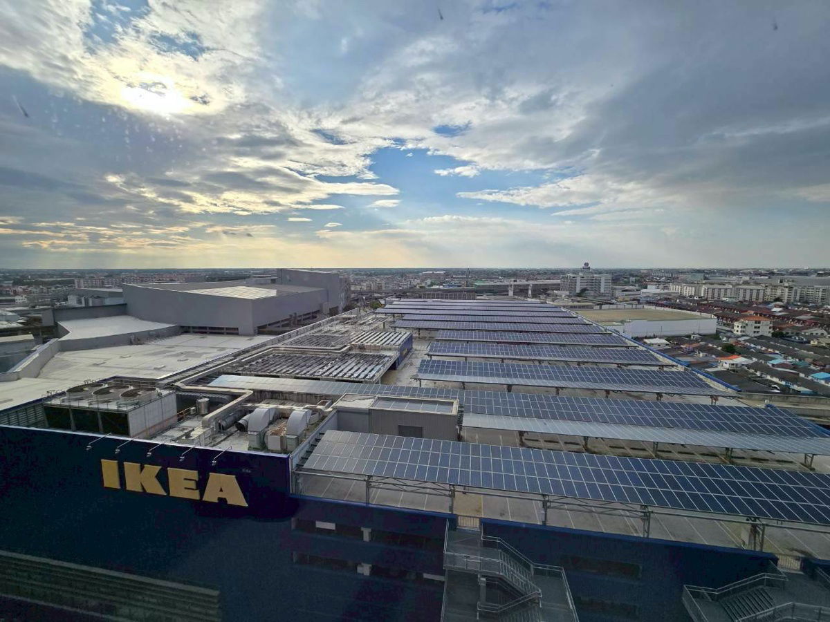 picture PLUM CONDO NEW WEST ( Code;N-PNW9 ) - 8/9