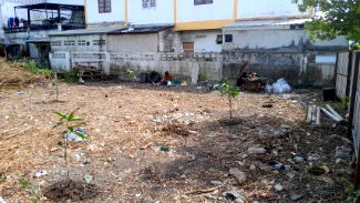 ที่ดิน คลองหลวง ปทุมธานี : โอกาสดีขายที่ดินแปลงสวย100 ตร.ว. ไอยรา ตลาดไท ซอยฟินิกซ์ปาร์ค6 ราคาดีมาก