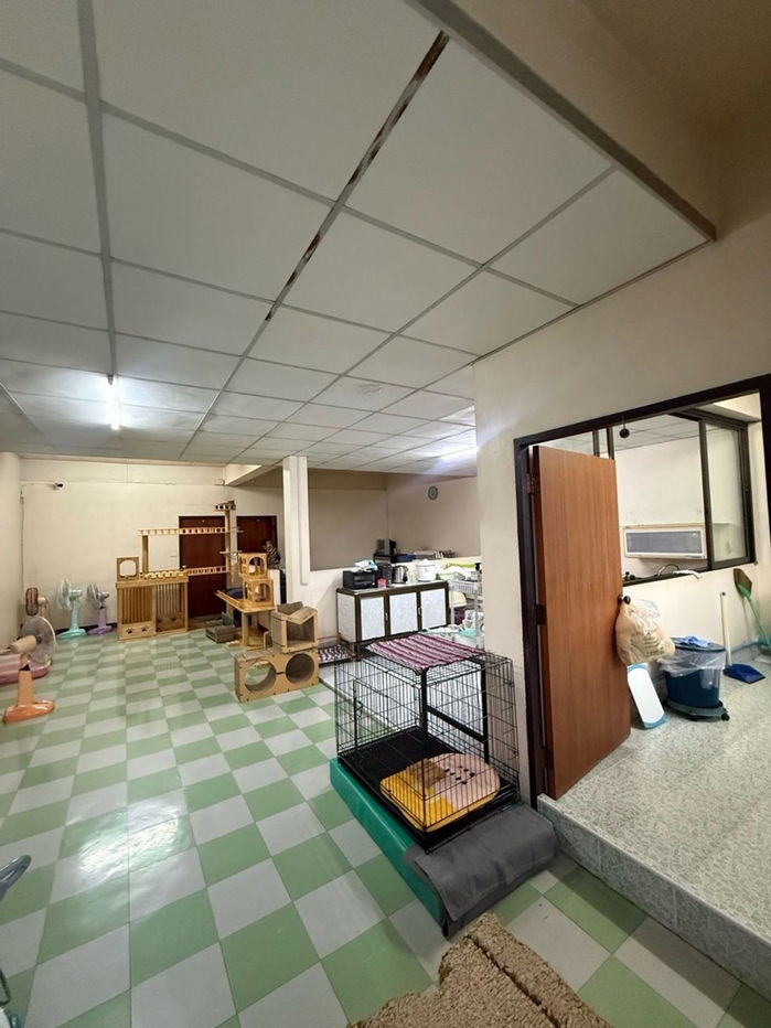 picture A lot of space in building , Parking 6 cars in the building , Commercial building for Sale Ratchawithi Road - 26/51