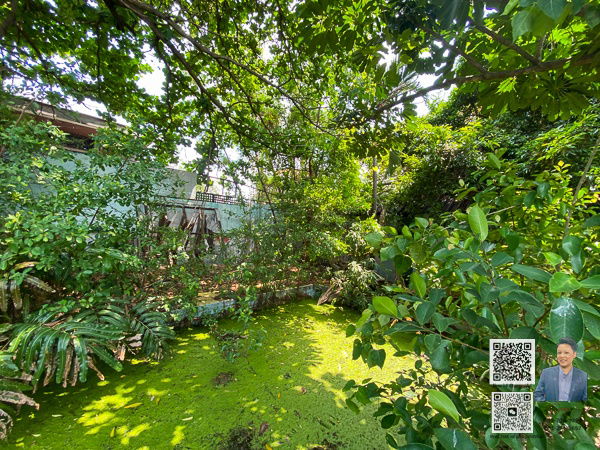 picture House + Land for Sale | Nearly Half Rai in Sukhumvit 71   Ideal for building a luxury multi-storey home - 6/12