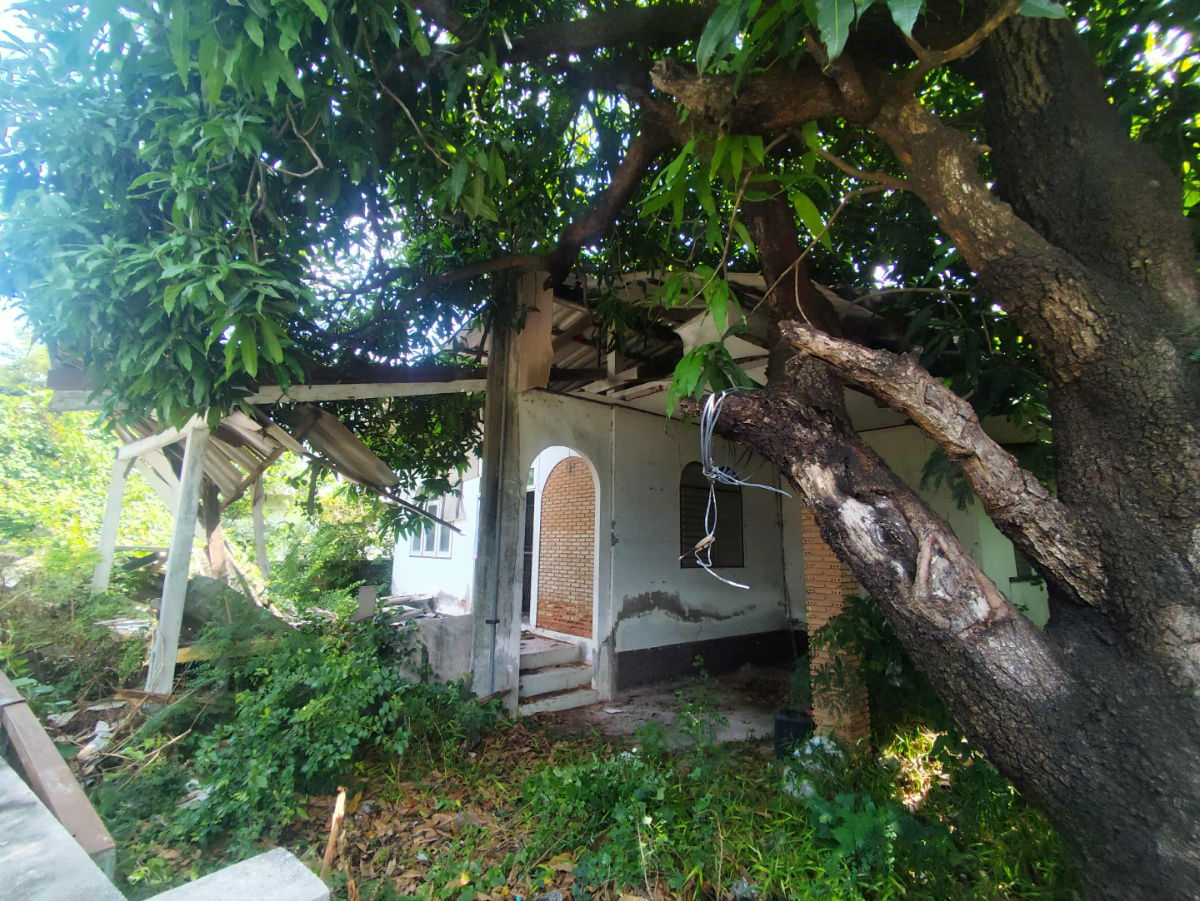 รูป ขายที่ดินพร้อมสิ่งปลูกสร้าง 100 ตร.วา – ซอยห้วยกะปิ 14 เมืองชลบุรี  ที่ดินสวย คุ้มค่า ทำเลดี เดินทางสะดวก เข้า-ออกได้หลายเส้นทาง - รูปที่ 1/7