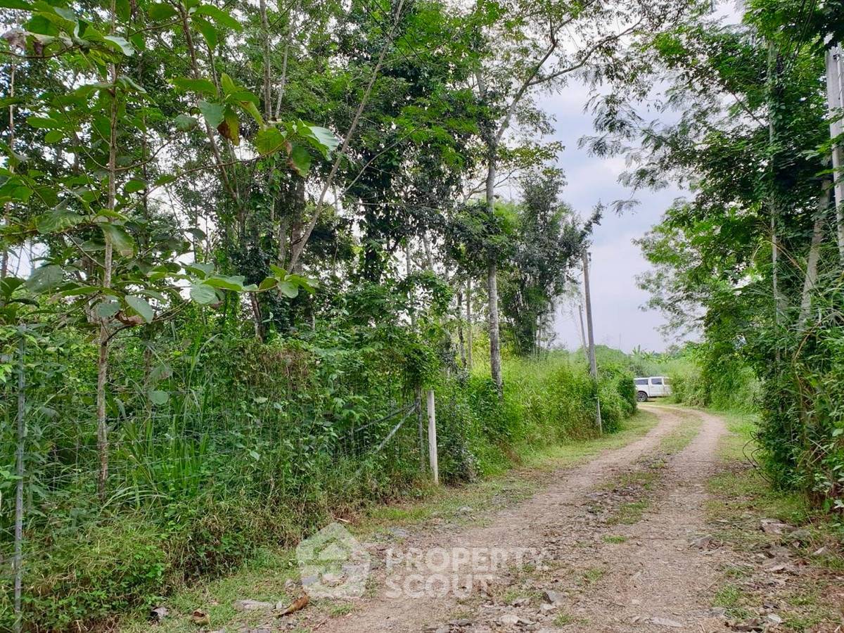 รูป ที่ดินสำหรับปล่อยขาย 16,728 ตารางเมตร แถว ใน สองพี่น้อง (ID 2383311) - รูปที่ 4/4