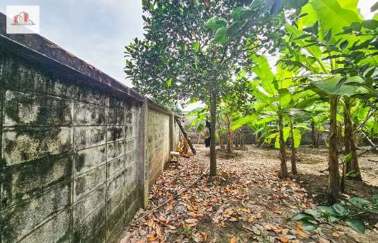 รูป ขาย ที่ดิน ถมแล้ว-สูงกว่าถนน เข้าซอยเพียง 20 เมตร หมู่บ้านเศรษฐกิจ บางแค 82 ตรว - รูปที่ 6/9