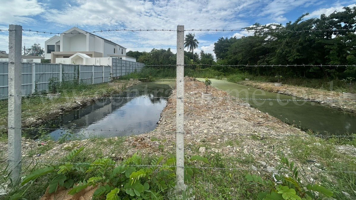 รูป ที่ดินผังสีม่วง 200 ตร.วา ซอยเอกชัย 76/1 บ้านธนบดี - บางบอน 1 - รูปที่ 7/9