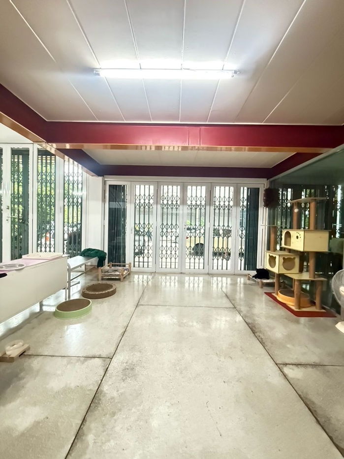 picture A lot of space in building , Parking 6 cars in the building , Commercial building for Sale Ratchawithi Road - 5/51