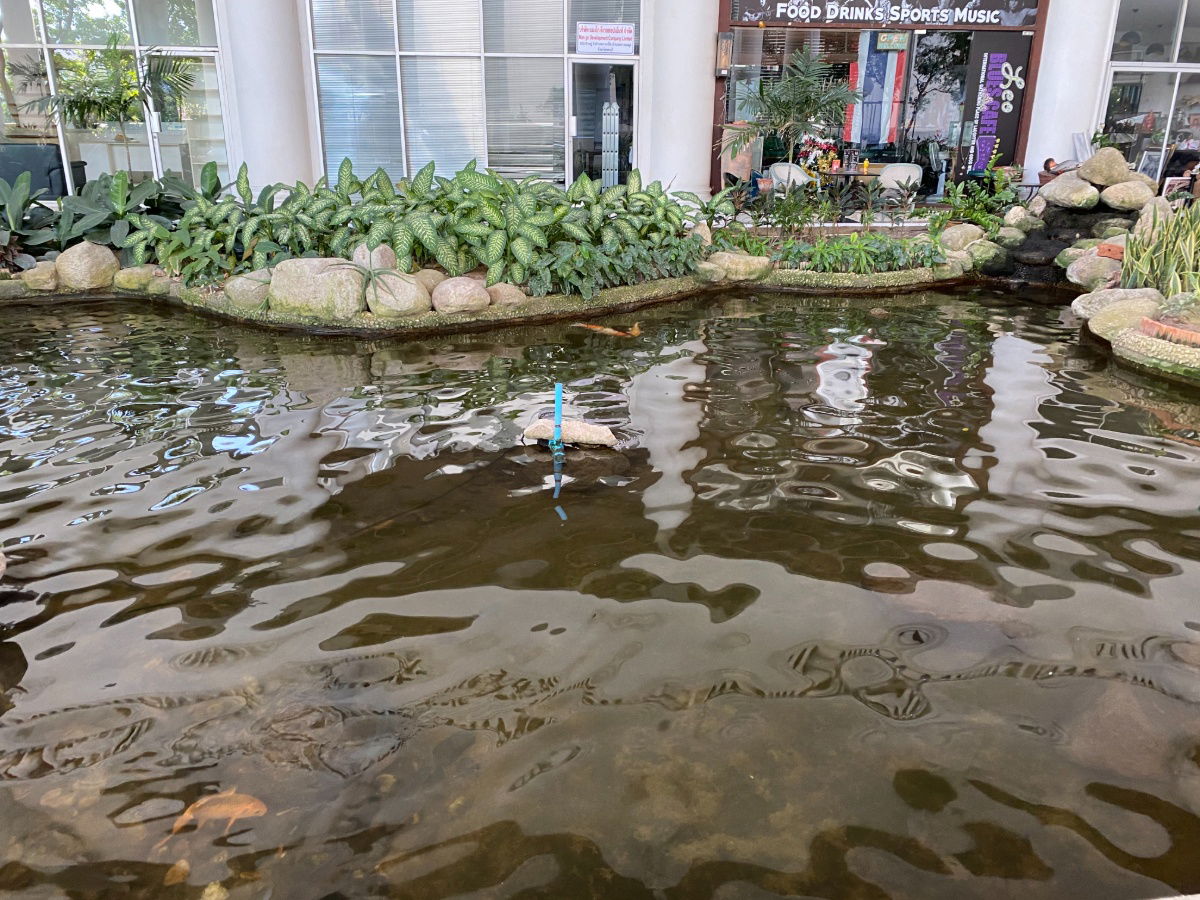 รูป ขาย Condo Pattaya ติดทะเล, Park Beach Condominium ราคาพิเศษ 2.79 ล้านบาท  - รูปที่ 38/53