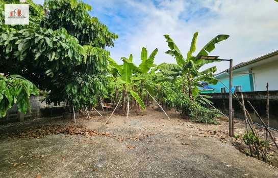 รูป ขาย ที่ดิน ถมแล้ว-สูงกว่าถนน เข้าซอยเพียง 20 เมตร หมู่บ้านเศรษฐกิจ บางแค 82 ตรว - รูปที่ 4/9