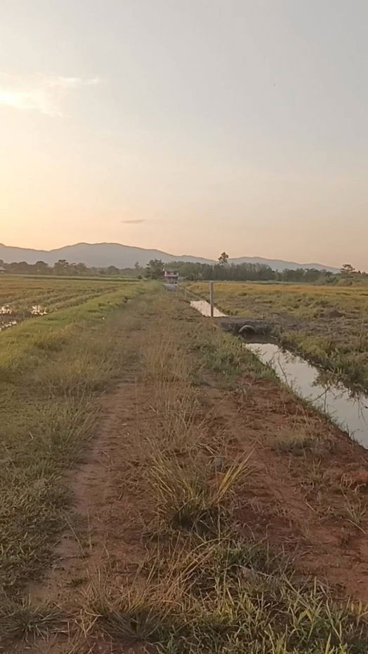 รูป ที่ดินสวยใกล้สนามบิน บ.ป่ากุ๊กเชียงราย - รูปที่ 7/7