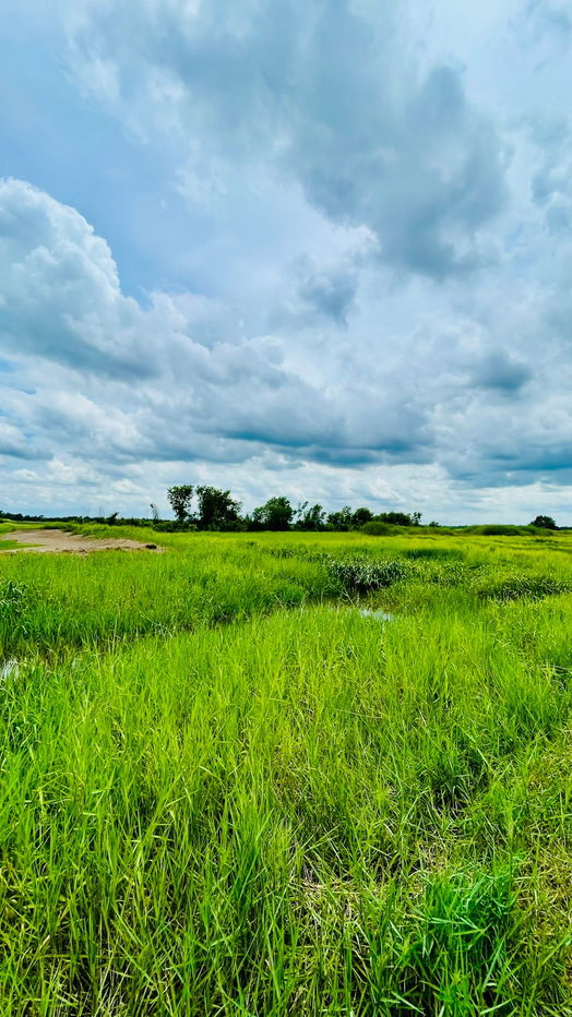 รูป ขายที่ดินนครนายก (คลอง 15) เนื้อที่ 22-0-67.6 ไร่ - รูปที่ 9/10