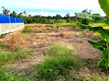 ที่ดิน หนองเสือ ปทุมธานี : ขายที่ดิน คลอง 12 หนองเสือ 92 ตรว.