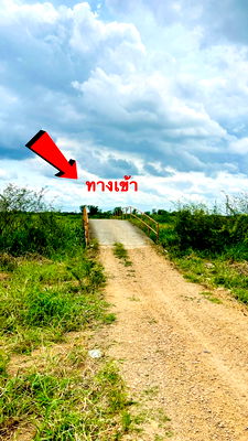 ที่ดิน นครนายก : ขายที่ดินนครนายก (คลอง 15) เนื้อที่ 22-0-67.6 ไร่
