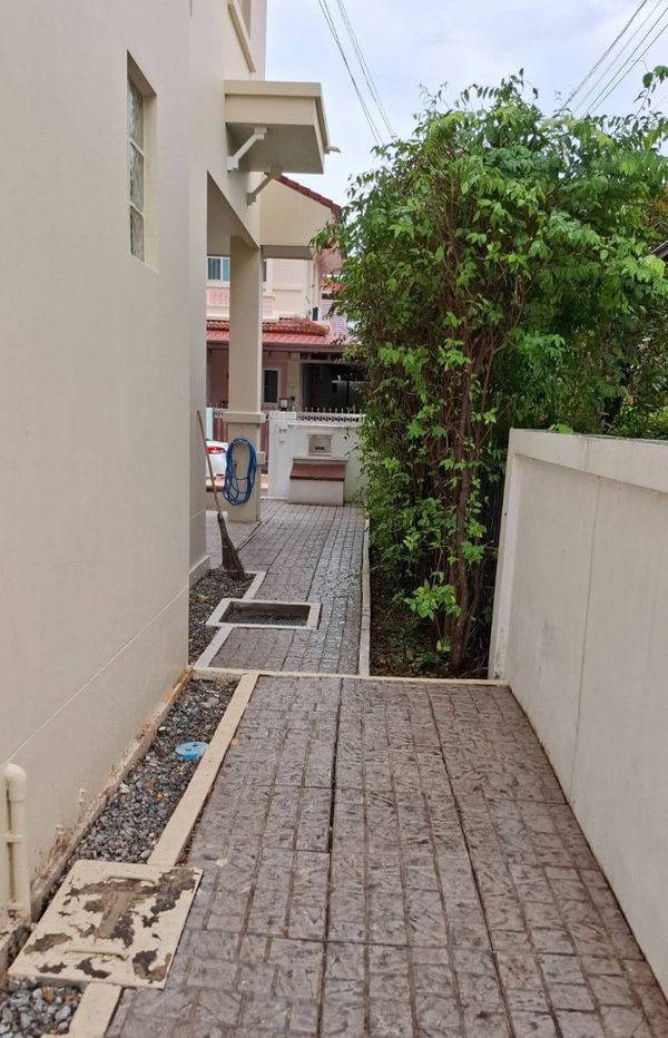 รูป บ้านเดี่ยวหลังมุมใน ชัยพฤกษ์ 2 – ติดถนน 345 บางคูวัด อ.เมืองปทุมธานี ทำเลดี เดินทางสะดวก   เชื่อมต่อถนนกาญจนาภิเษก ถนนราชพฤกษ์ - รูปที่ 24/24