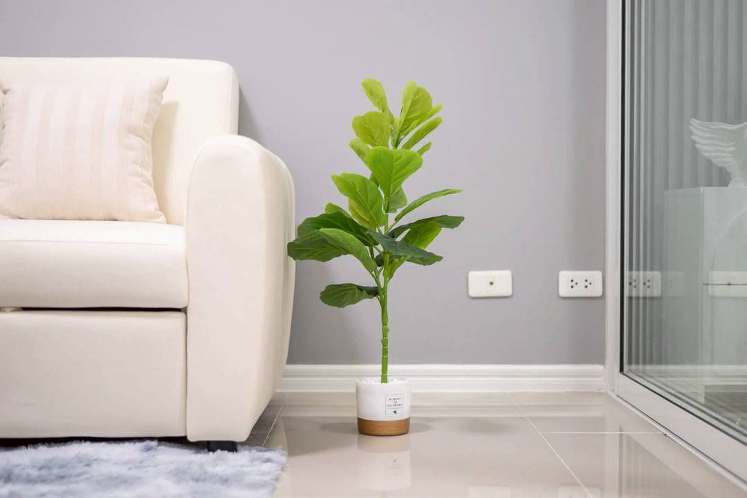 รูป 🍃OwMumcondo🍃 คอนโด บี ยู โชคชัย 4  (Condo Be You Chockchai 4 - รูปที่ 2/14