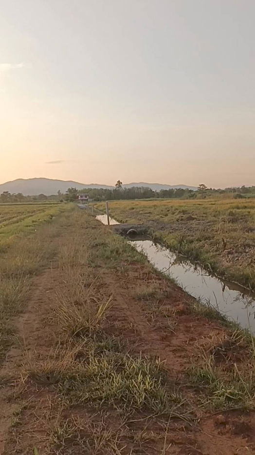 รูป ที่ดินสวยใกล้สนามบิน บ.ป่ากุ๊กเชียงราย - รูปที่ 6/7