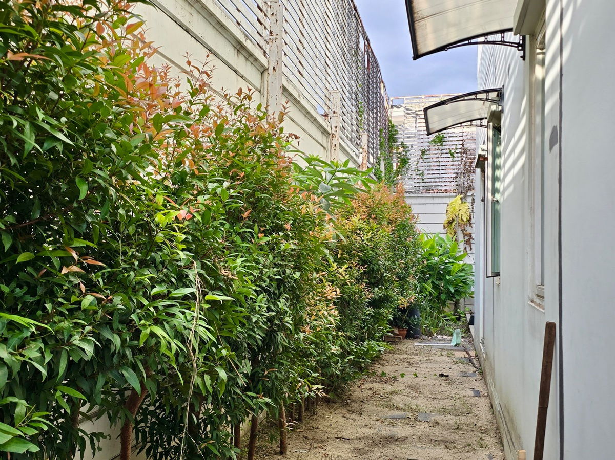 รูป 🌟 “ทาวน์โฮม 3 ชั้นใจกลางลาดพร้าว | บ้านกลางเมือง ลาดพร้าว 87” สไตล์โมเดิร์น เรียบหรู อยู่สบาย ใกล้ทุกจุดหมายในเมืองใหญ่ - รูปที่ 19/19