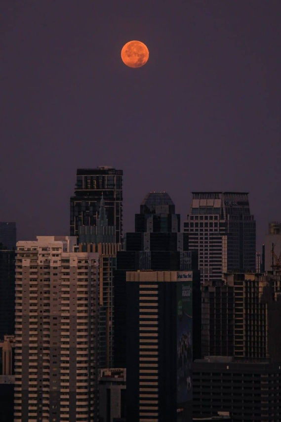 picture Code:KJ521  for rent Life Asoke Hype // Line ID: @kjcondo (with @) // - 14/16