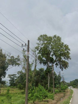 รูป ขายที่ดิน แปลงใหญ่ อ.เกาะช้าง จ.ตราด Seaview ขนาด 6-1-21.3 ไร่ ใกล้ท่าเทียบเรือเกาะช้าง - รูปที่ 5/5