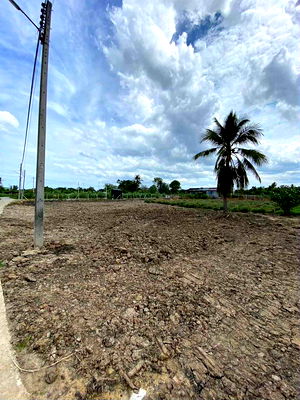 Land for sale Nakhon Chai Sri Nakhon Pathom : Sale land Nakhon chaisri (Nakhon Pathom)