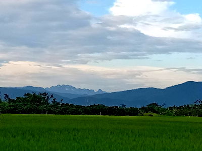 กิจการ เชียงใหม่ : ขายกิจการรีสอทร์เมืองงายเชียงดาววิวดอยหลวงโฉนด