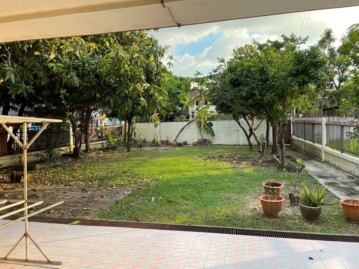 รูป ให้เช่าบ้านเดี่ยว 2 ชั้น พร้อมสวนหลังบ้านขนาดใหญ่ ประชาชื่น-สามัคคี - รูปที่ 3/10