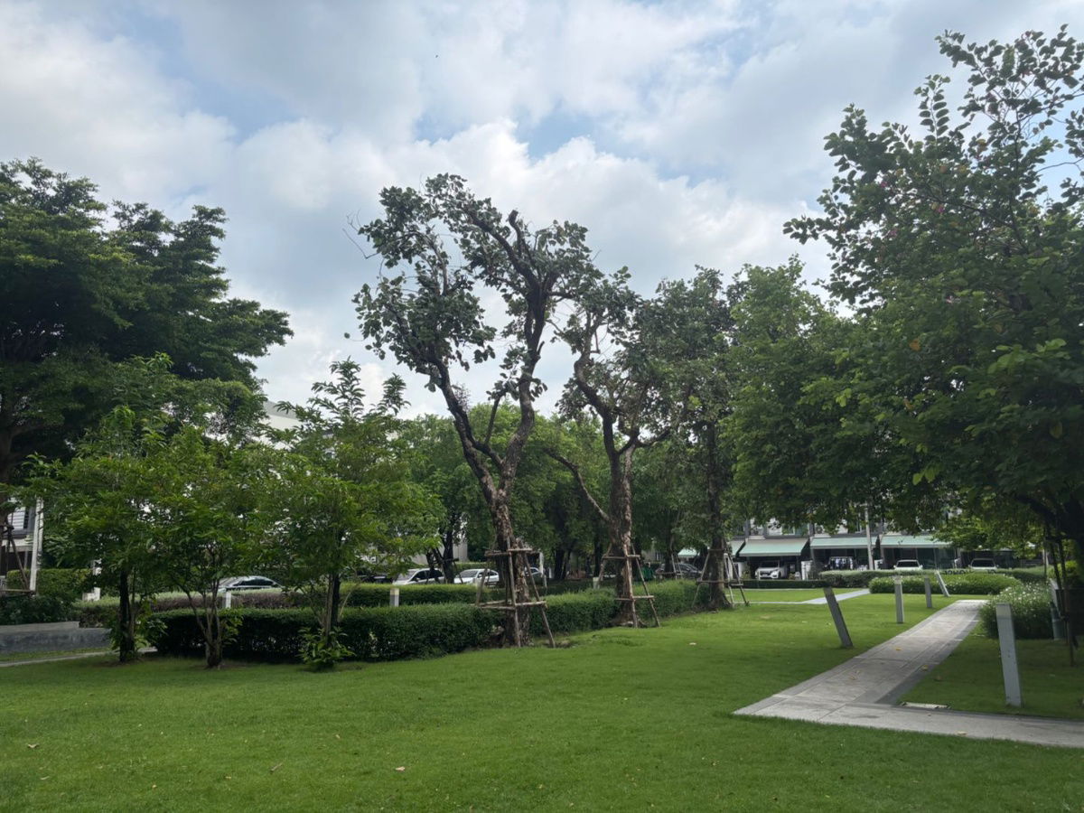 รูป ขายราคาดีที่สุดบ้านกลางเมือง สวนหลวง ใกล้เมกกะบางนา หลังมุม พื้นที่ใช้สอยเยอะ แถมเฟอร์ครบพร้อมอยู่ 064-974-2441 - รูปที่ 13/16