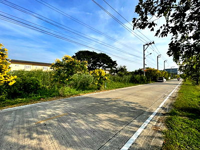 ที่ดิน การไฟฟ้าส่วนภูมิภาค ศาลายา : ขายที่ดิน ซอยปู่เส็งเจริญสุข, ด่วน! ราคาถูกมาก ต.ศาลากลาง จังหวัด นนทบุรี ใกล้ ม.มหิดล ศาลายา ติดถนนใหญ่ ห่าง 250 เมตร 