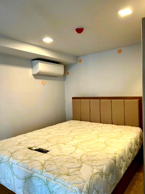 คอนโดให้เช่า : The Tree Pattanakarn - Ekkamai ห้องสวย ราคาดี สอบถามเพิ่มเติมได้ที่ Line @condorental