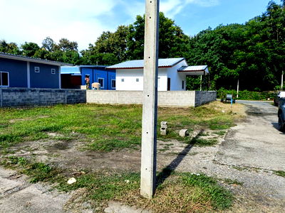 ขายที่ดิน : ขายที่ดินเปล่า หลัง อบต.สันกำแพง