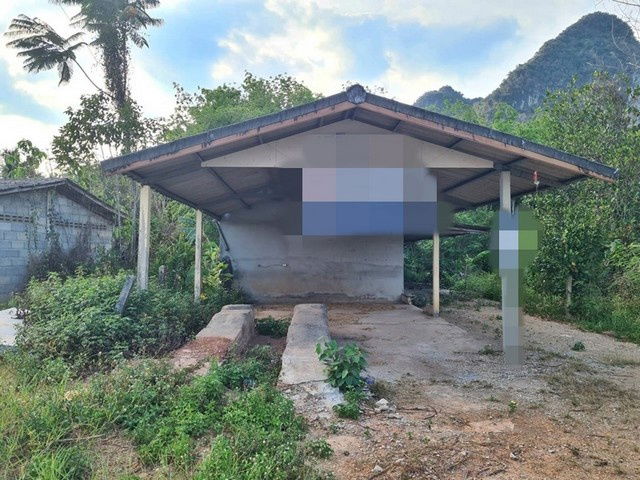 รูป A8-0113 ขายบ้านเดี่ยว ตำบลกระบี่น้อย อำเอเมืองกระบี่ กระบี่ (โปรโมชั่นจนถึงวันที่ 30 ธันวาคม 2568) - รูปที่ 1/8