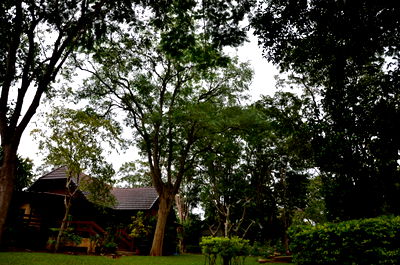 Houses for sale Pak Chong Nakhon Ratchasima : Phutawan Resort-House in Pak Chong for Sales